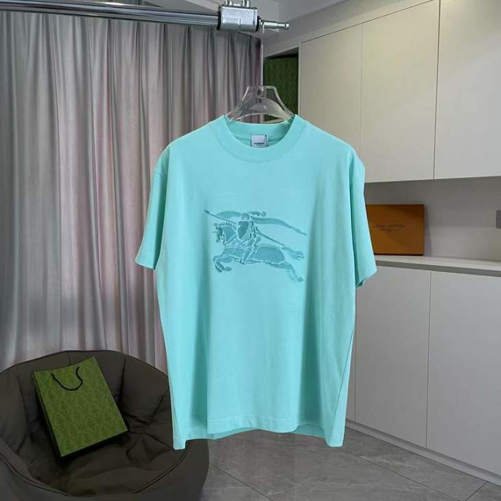 Picture of Burberry T Shirts Short _SKUBurberryS-2XLxetr8920019